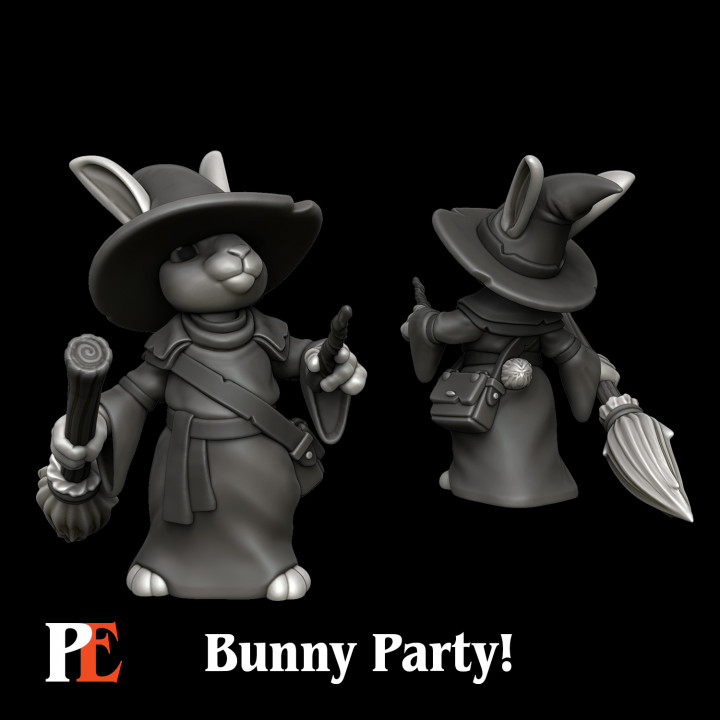 Bunny Wizard image