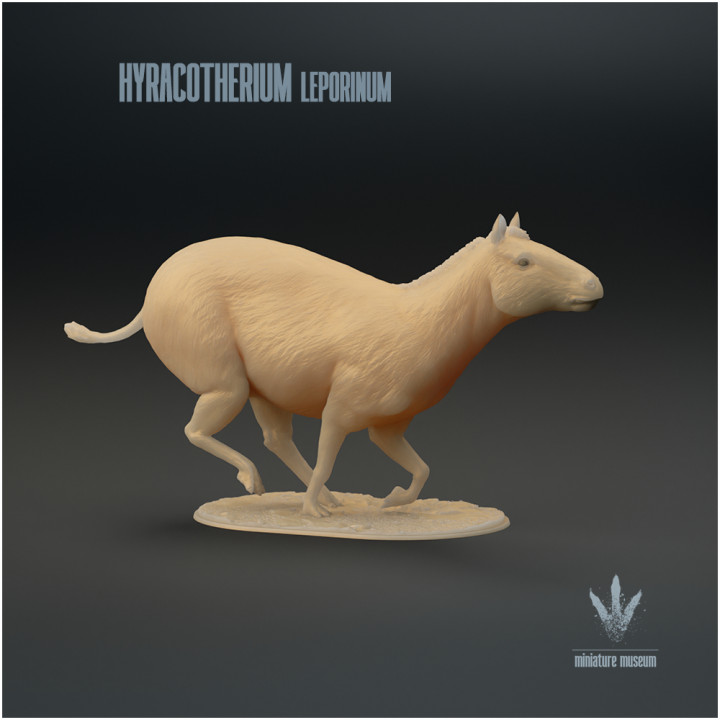 Hyracotherium leporinum : Running image