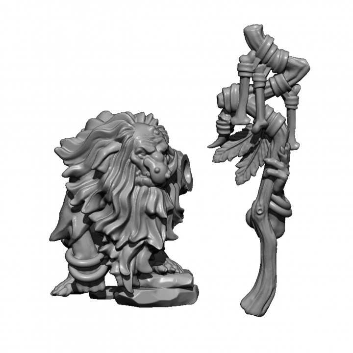 Troll Shaman