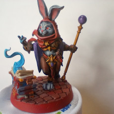Picture of print of Harengon Wizard
