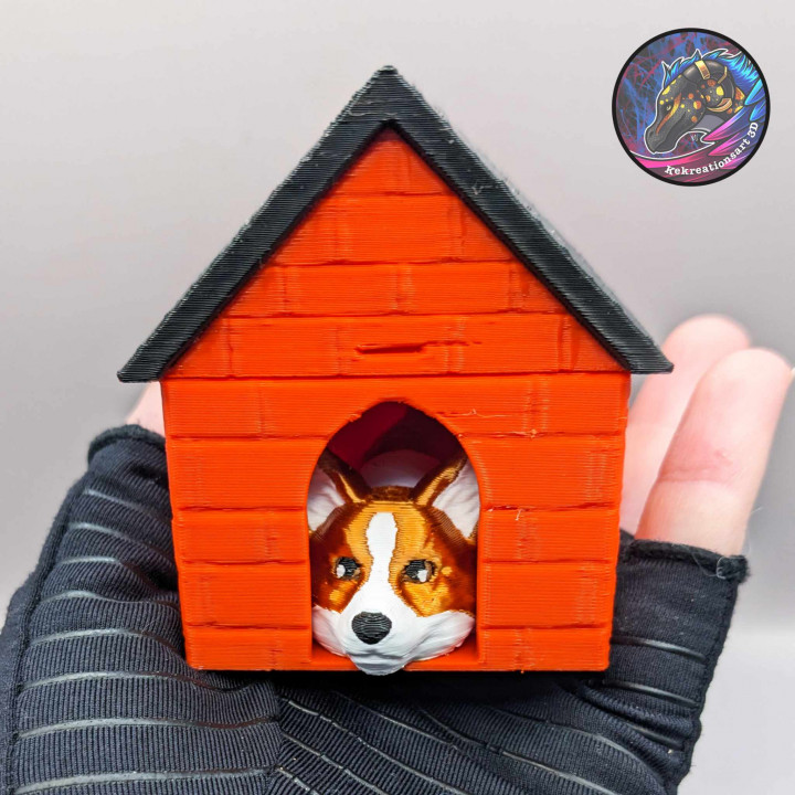 Dog House Adoption Box, Doggie Mystery Box image