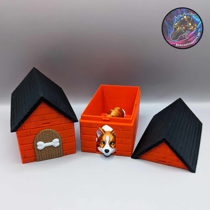 Dog House Adoption Box, Doggie Mystery Box image
