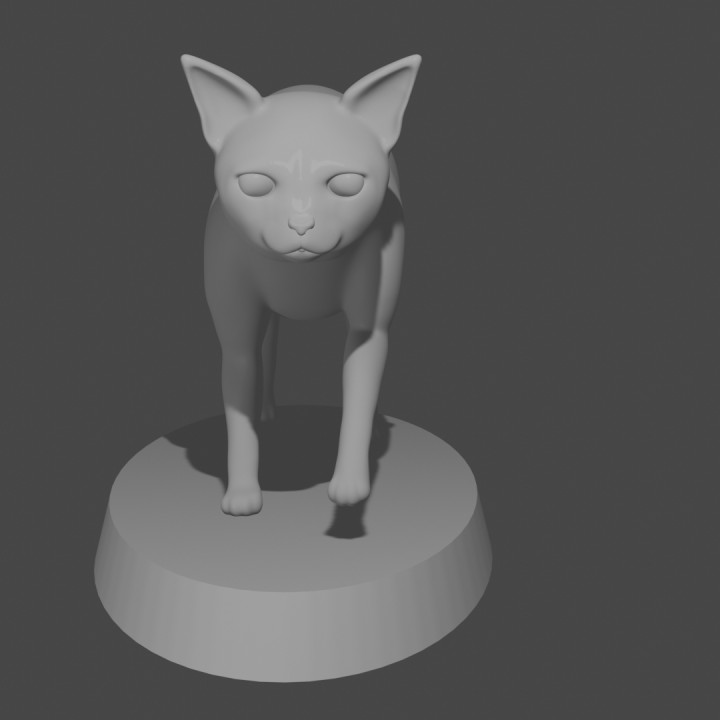 Walking cat