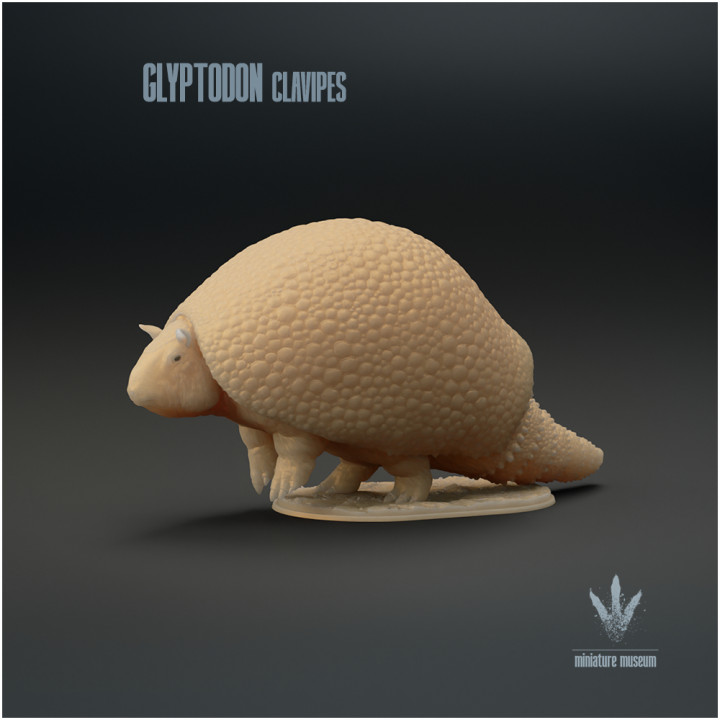 Glyptodon clavipes : Standing