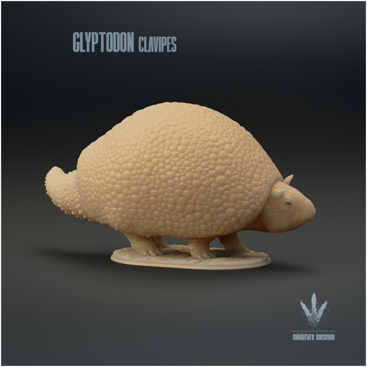 Glyptodon clavipes : Tail Swing