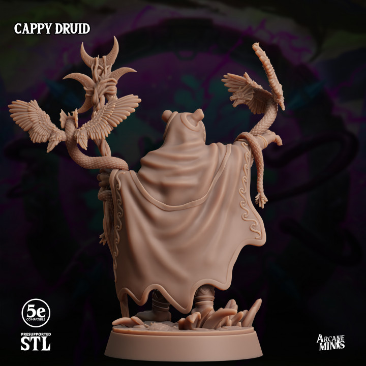 Cappy Druid image