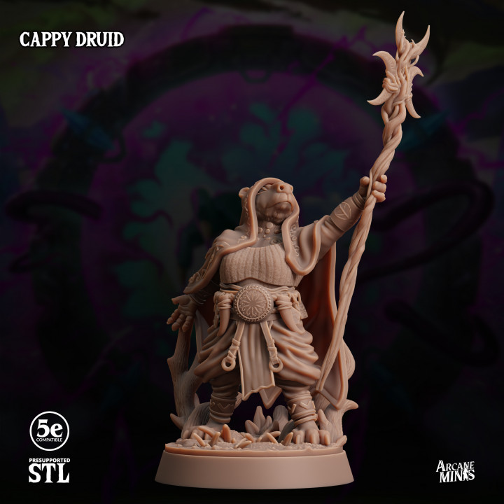 Cappy Druid image