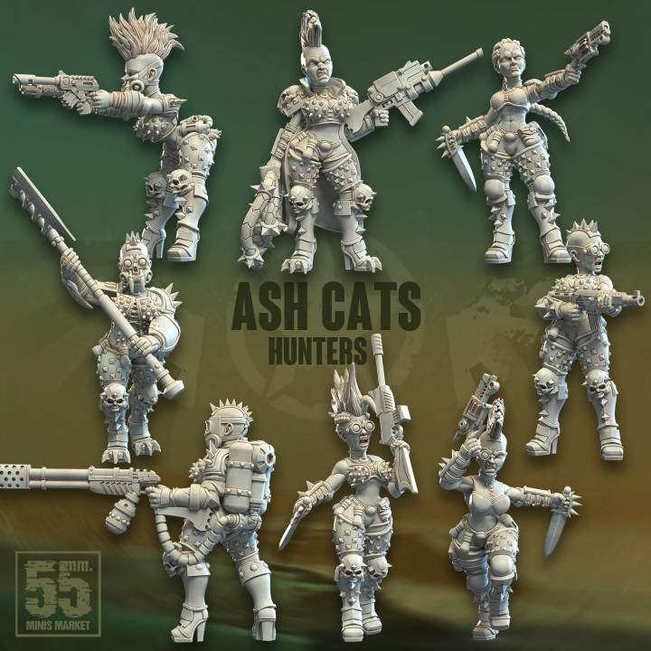 Ash Cats Hunters image