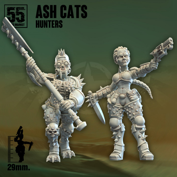 Ash Cats Hunters image