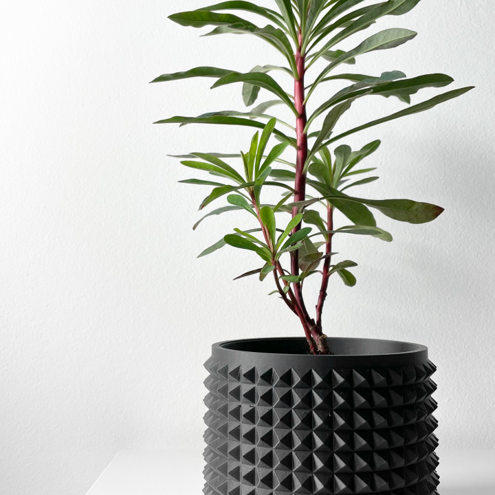 The Anver Planter Pot with Drainage | Tray & Stand Included | Modern and Unique Home Decor for Plants and Succulents  | STL File image