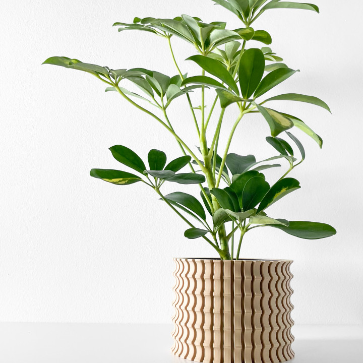 The Tulam Planter Pot with Drainage | Tray & Stand Included | Modern and Unique Home Decor for Plants and Succulents  | STL File image