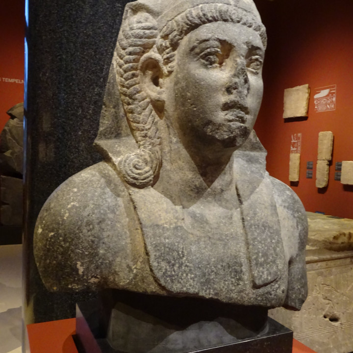 Bust of a youthful king image