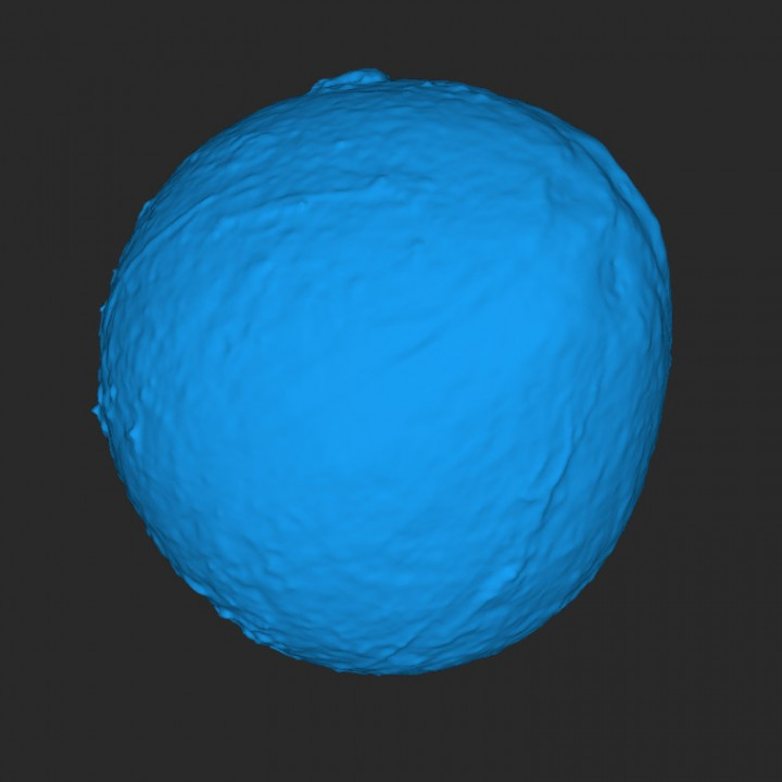 Coconut (3D Scan) image