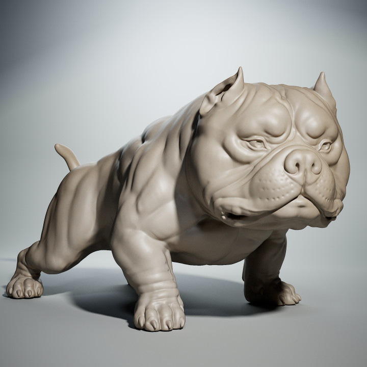 Pitbull 様 O1CN01E55vbT1uVkBluJDqQ_!!