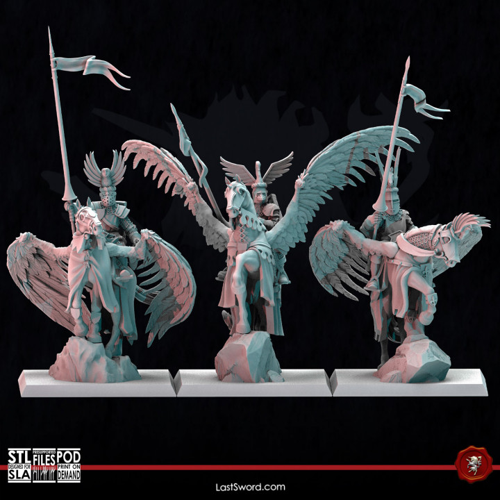Pegasus Knights image