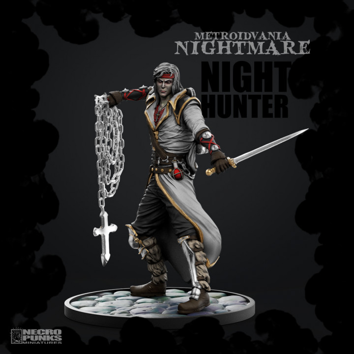 Night Hunter - Hero - Metroidvania Nightmare - BUNDLE#13 image