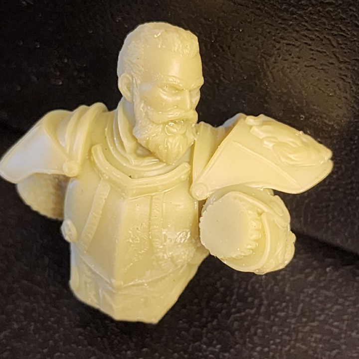 Knight Captain of Cremation Bust