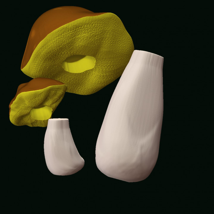 porcini mushroom model