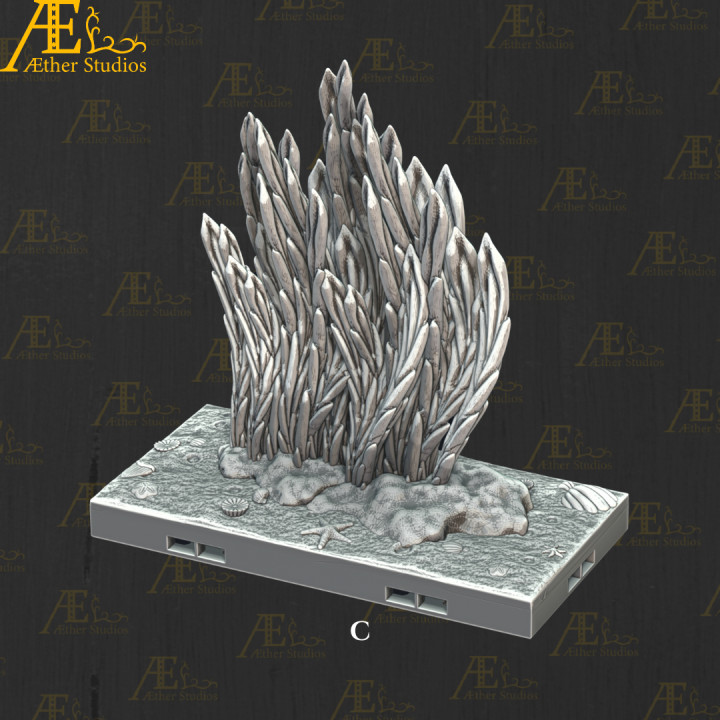 AEATLN15 – Kelp Forest image