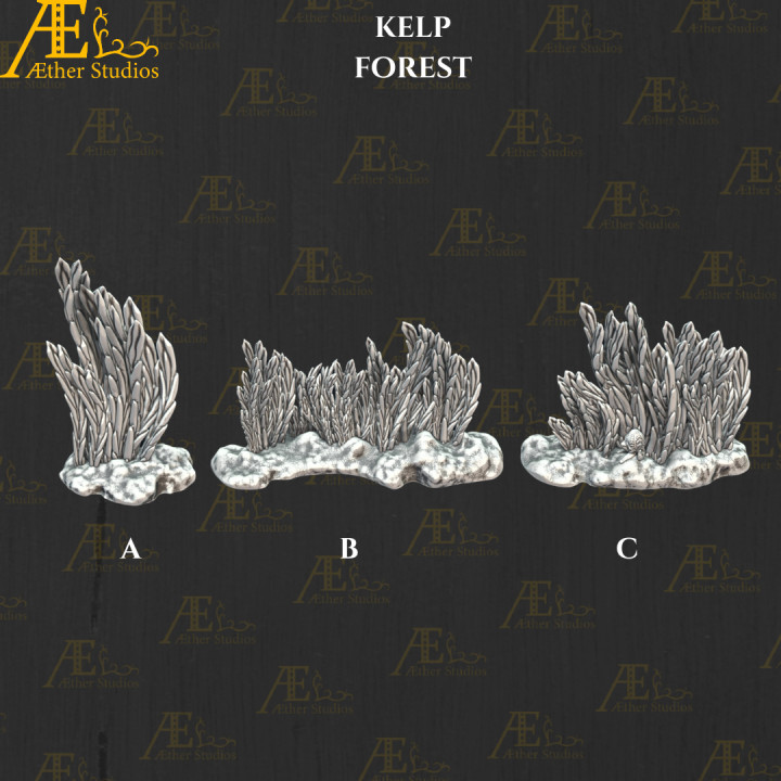 AEATLN15 – Kelp Forest image