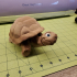 Tortoise, Articulated fidget, Print-In-Place, Cute Turtle Flexi print image