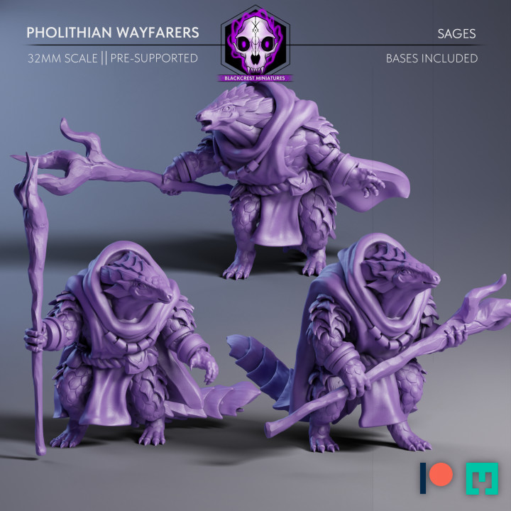 Pholithian Wayfarers | Sages image