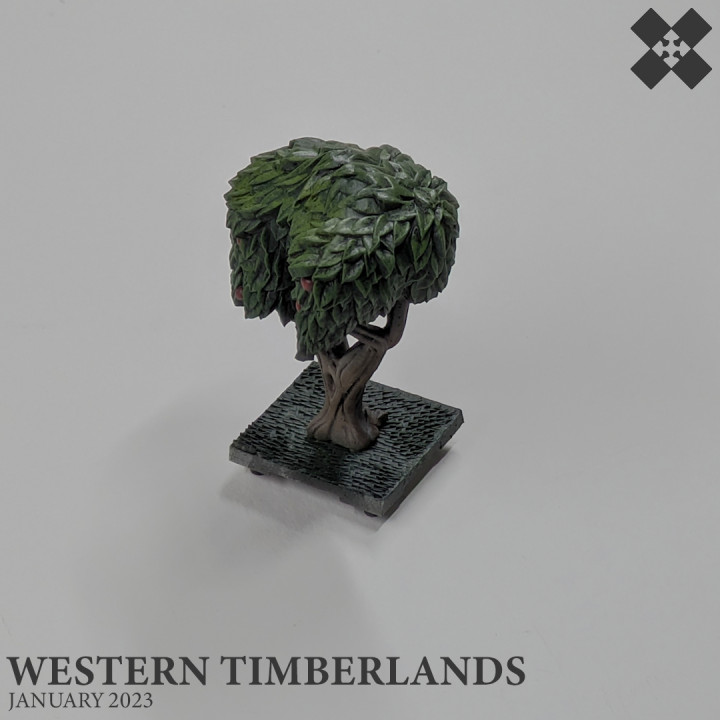 Western Timberlands