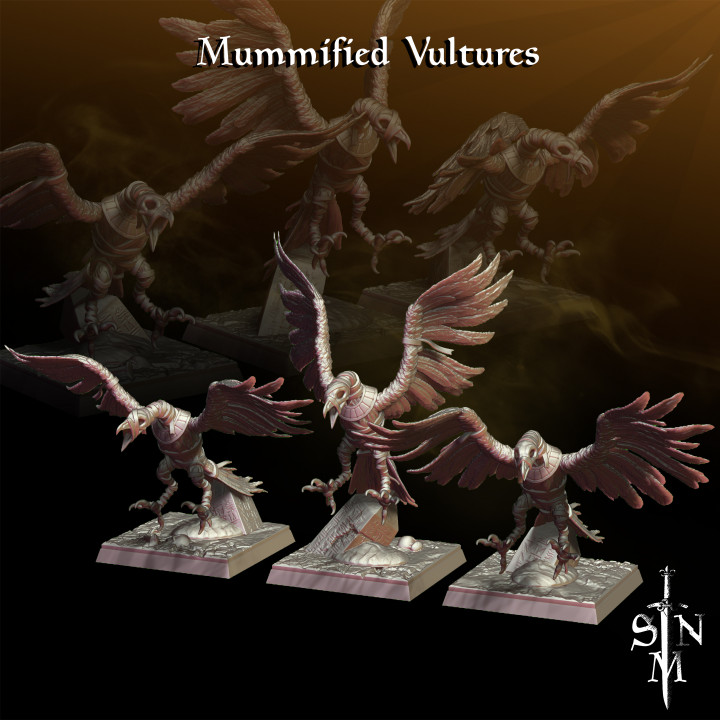 Mummified Vultures image