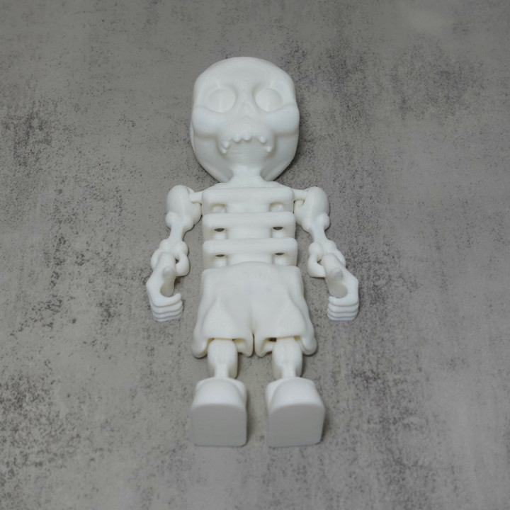 Mystic Skeleton (Articulated Collectible) image