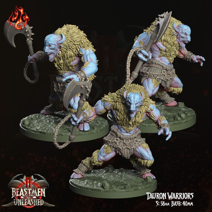 Tauron Warriors image