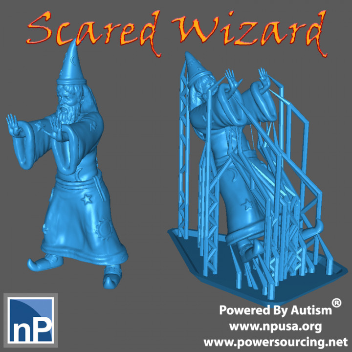Fantasy Adventurer - Scared Wizard image