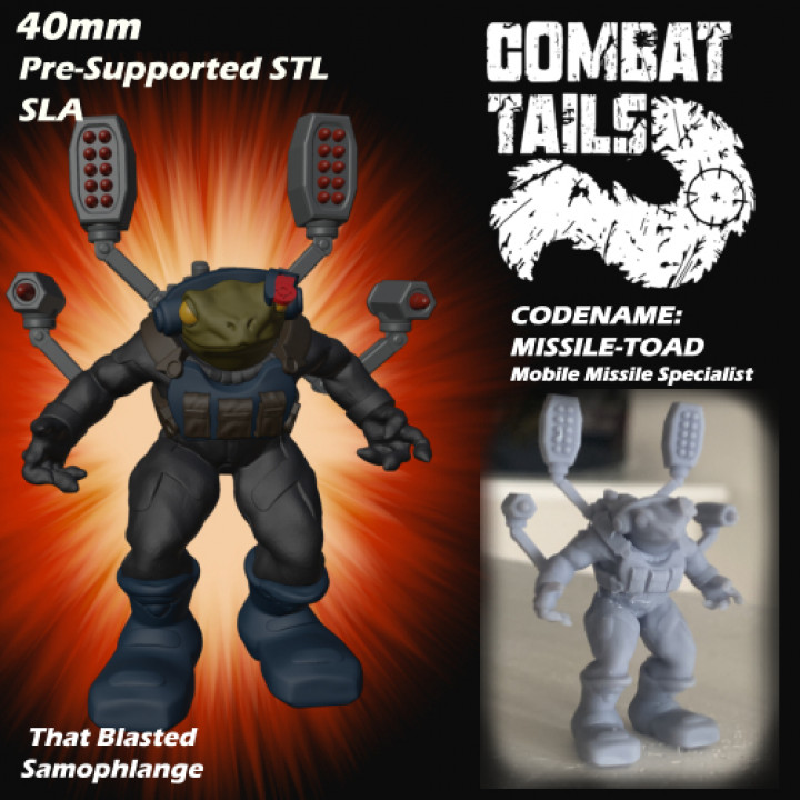 Combat Tails - Missile-Toad image
