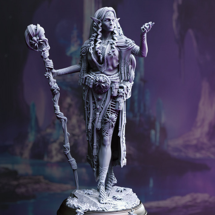 Drow Arachnomancer - Irinia image