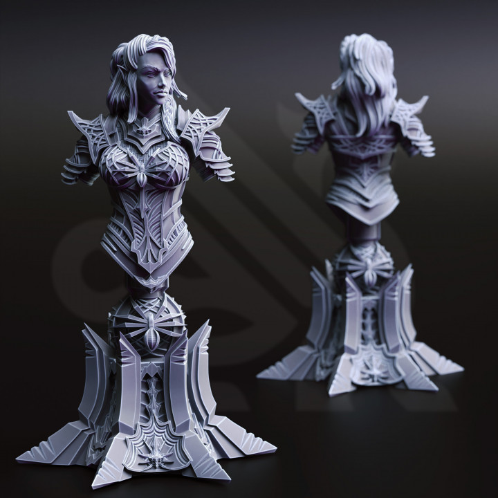 BUST Drow Assassin - Vakara N'Thara