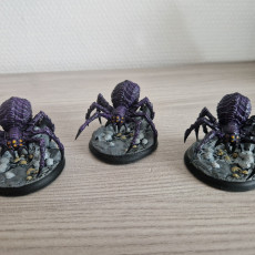 Picture of print of Phase Spider Broodmother - Xylanth