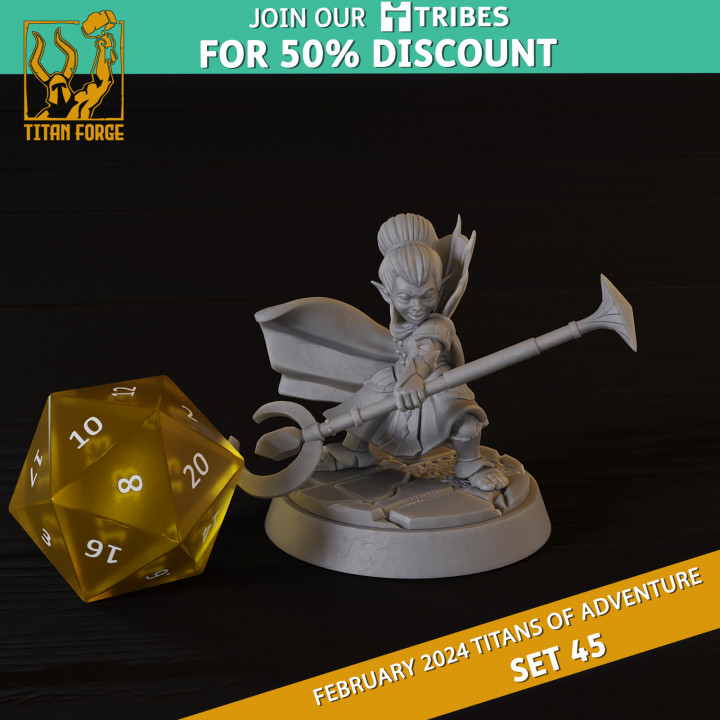 RPG - DnD Hero Characters - Titans of Adventure Set 45 image