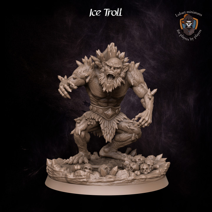 Ice Troll's Cover