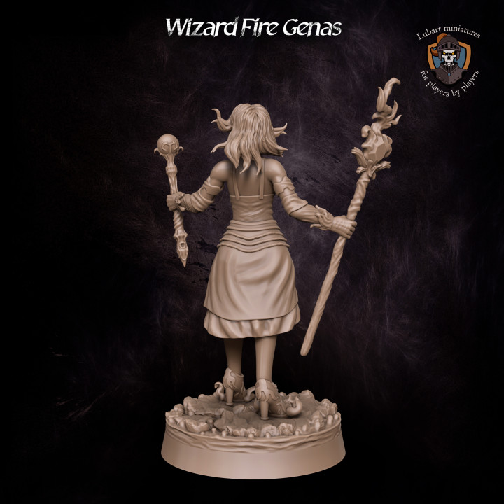 Wizard Fire Genas image