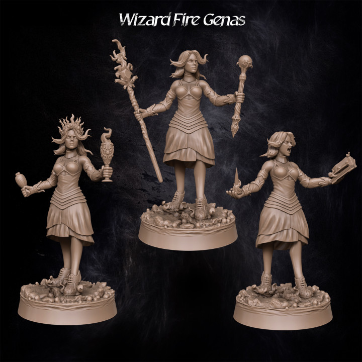 Wizard Fire Genas's Cover