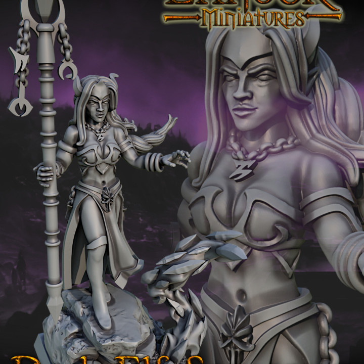 Dark Elf Sorceress image