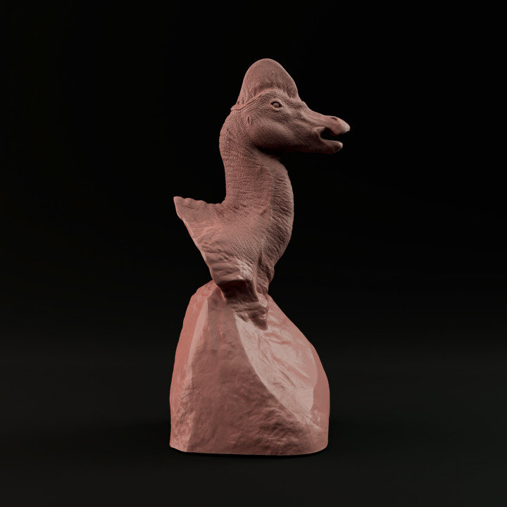 Corythosaurus bust - pre supported image