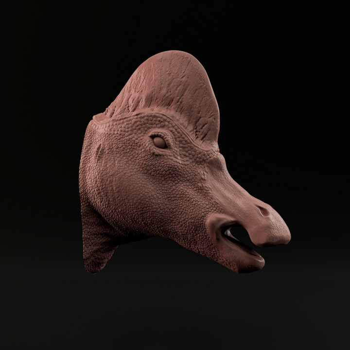 Corythosaurus head/mount image