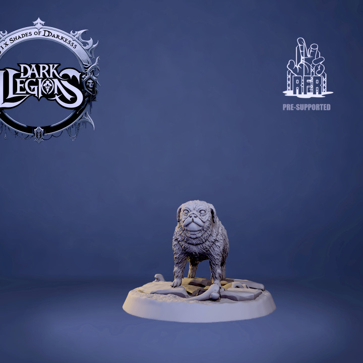 Juno, the compagnion set - Tabletop miniature (Pre-Supported) image