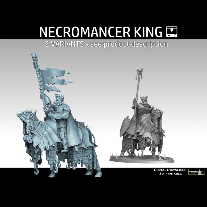 Necromancer King image