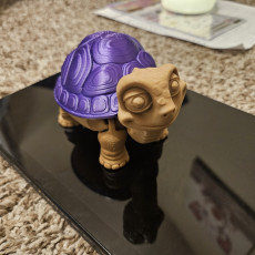 Picture of print of Exclusive: Flexi Factory Tortoise