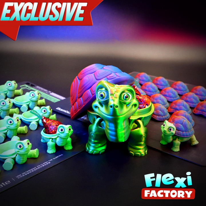 Exclusive: Flexi Factory Tortoise image