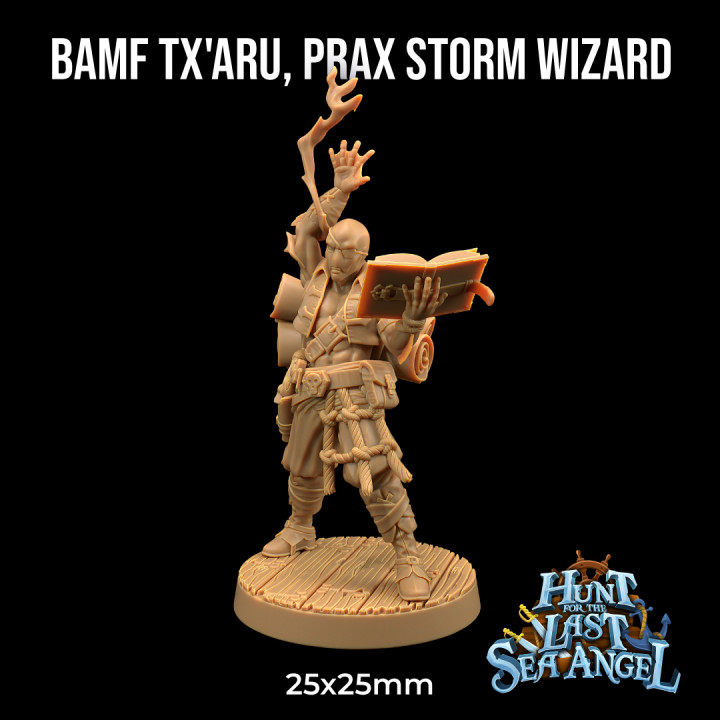 Bamf Tx'Aru, Prax Storm Wizard | PRESUPPORTED | Hunt for The Last Sea Angel image