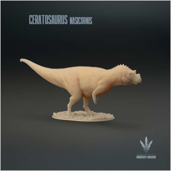 Ceratosaurus nasicornis : The Horned Lizard image