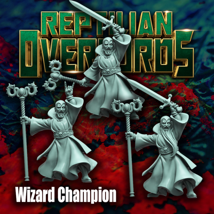 Wizard Champion image