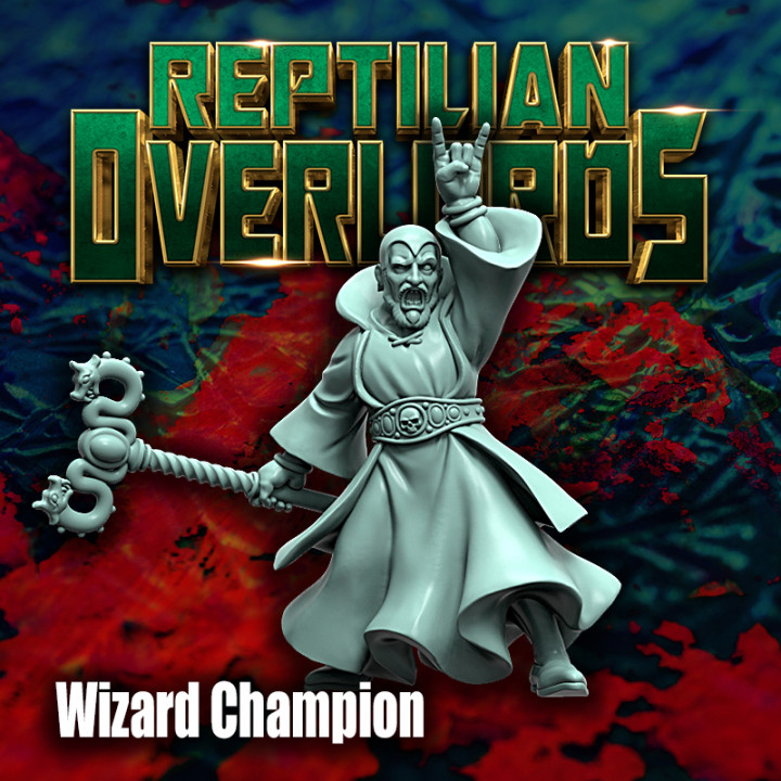 Wizard Champion